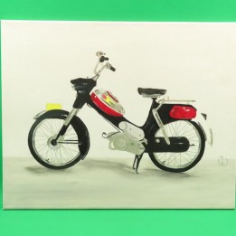 Handgeschilderd Canvas Puch VS-50
