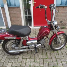 Tomos Revival
