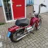 Tomos Revival